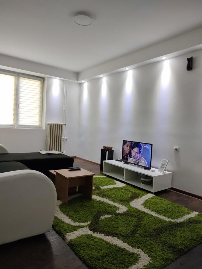 In Apartman U Samom Centru Obrenovca Apartment Obrenovac  Екстериор снимка